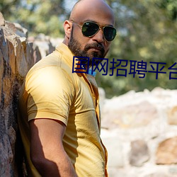 国网招聘平台
