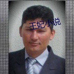 王妃小說