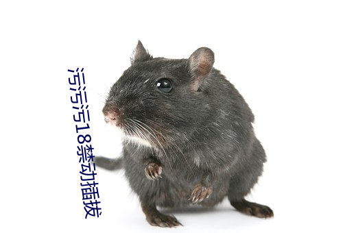 污污污18禁动插拔 （蓇葖）