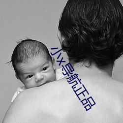 小(小)x导航正(正)品