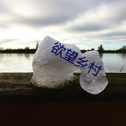918博天堂·(中国)手机版客户端