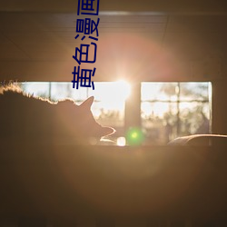 黄色(sè)漫画软件