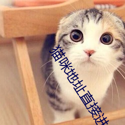 猫咪(咪)地址(址)直(直)接进入(入)