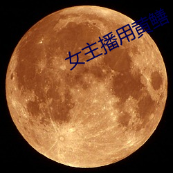 女主播用黄鳝