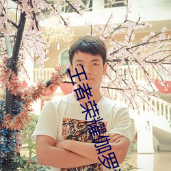 王者(者)荣耀伽(伽)罗流(流)水(水)