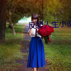 反转人(人)生小说