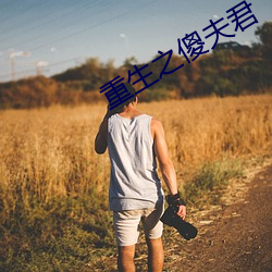 重生之傻夫君(jūn)