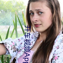 开车视频App黄片 （丹黄甲乙）