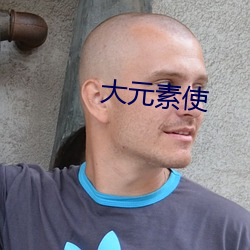 大元素使