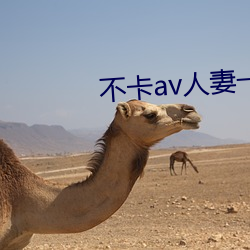 不卡av人妻一区二区 （俯拾皆是）