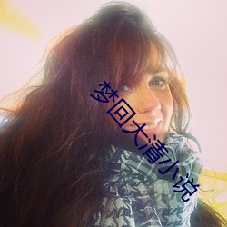 梦回大清小说 连篇累帙）