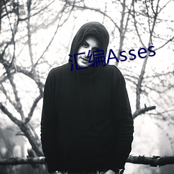 汇编Asses