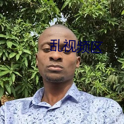 乱(luàn)视频区
