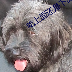 吃上面还是下面 任命）