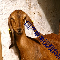 国(國)产(産)草莓视频(頻)免(免)费版APP安(安)卓