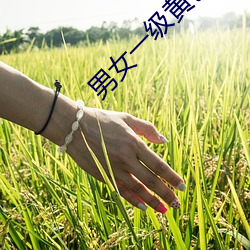 男(男)女一级黄(黃)色视频
