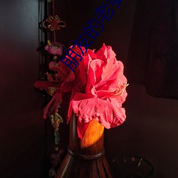 朋友的老婆木天鱼(yú)