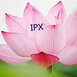 IPX