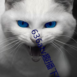 636atv趣播下(下)载ios