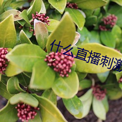suncitygroup太阳集团--官方网站