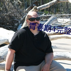 青春期4完整版