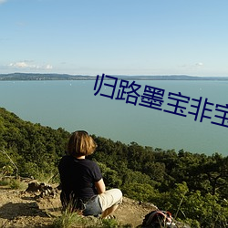 归路墨(墨)宝非宝