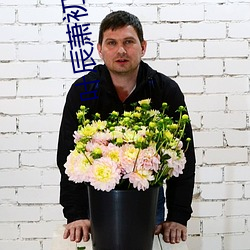 叶(葉)辰(辰)萧初(初)然小(小)说(說)