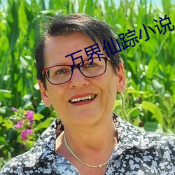 万界仙踪小说