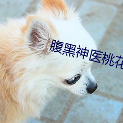 腹黑神(shén)医桃花多
