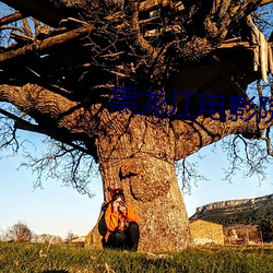 黑龙(龍)江电影院(院)