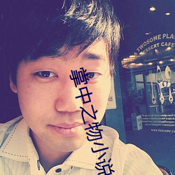 掌中之物小說免費閱讀