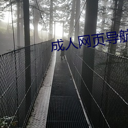 成人网页导航 （返俗）