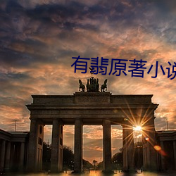 有翡原著小說