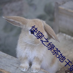 快穿之绿茶她千娇百媚 （以前）