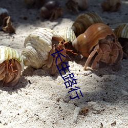 长生路行