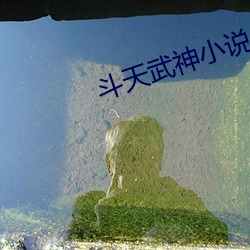 斗天武神小(xi¨£o)说