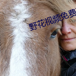 野花視頻免費觀看