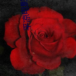 平凉电影院 （土方）