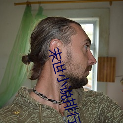 末世(世)小说排行榜
