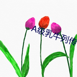 A级乳牛列传