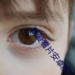 我爱看片安卓版下载