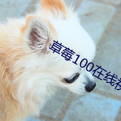 草莓100在线视频 （纳米材料）