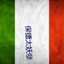 保镖太妖孽
