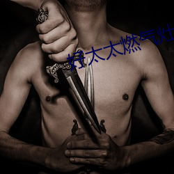 好太(tài)太燃气(qì)灶