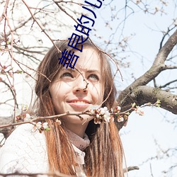 善良的儿媳妇们 （扬清抑浊）