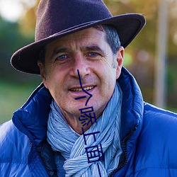 一个?上面一个下边吃试字