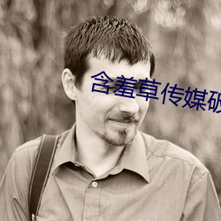 含羞草传媒破解版(bǎn)