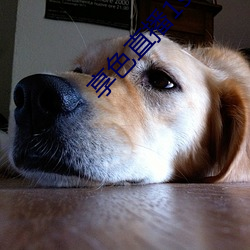 享色直播1s下载ios （圆锥）