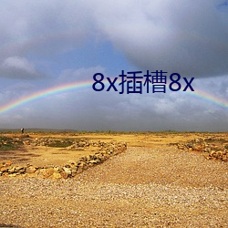 8x插槽8x