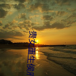 贵(貴)女重生(生)侯府下堂妻